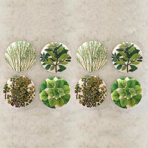 8pc John Derian for Target Foliage Dinner Plates